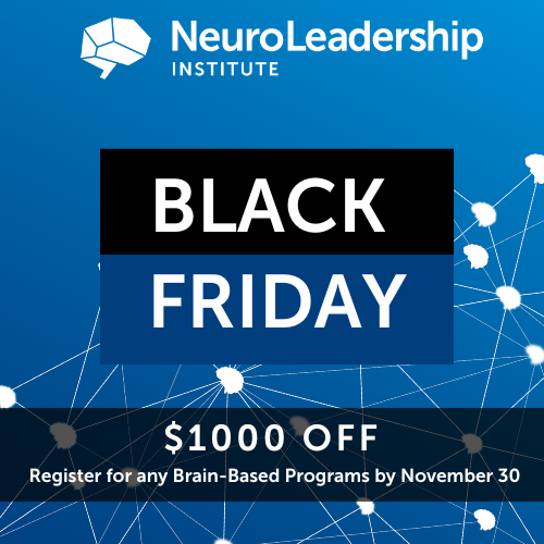 Black friday 2024 (3)