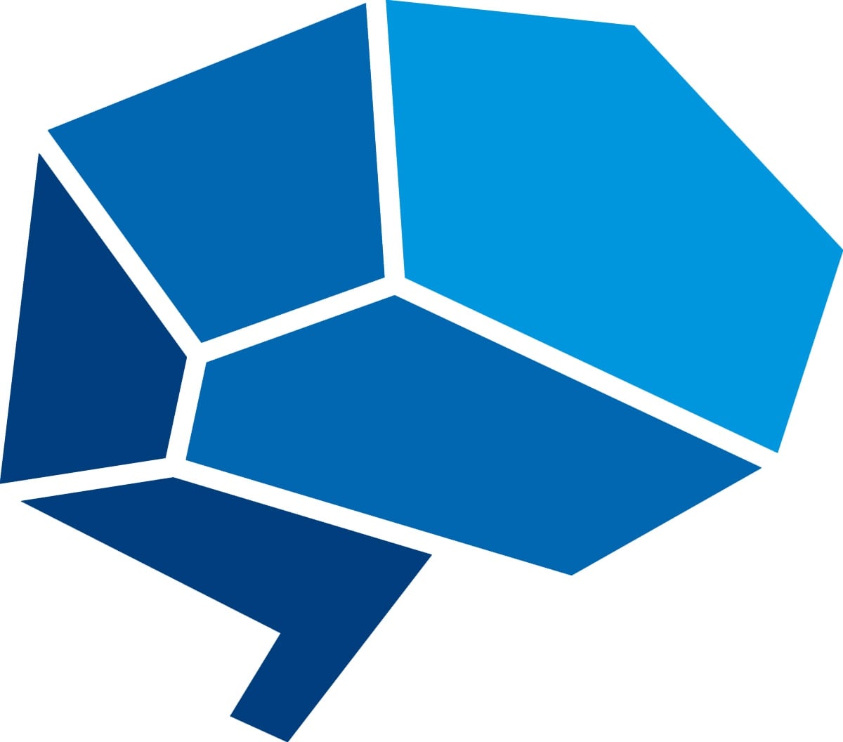 NLI_BRAIN_RGB